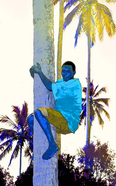 Zanzibar Island Tanzania 2011 Palm Tree Coconuts Climber Sign Illustration — ストック写真