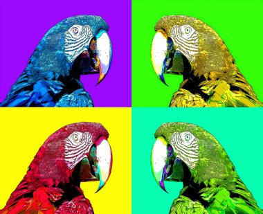 Kırmızı macaw (Ara macao) renk lekeli pop-art arkaplan simgesi imzala