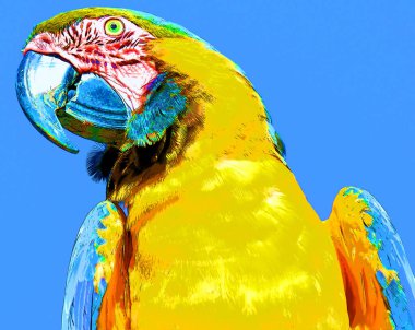 Kırmızı macaw (Ara macao) renk lekeli pop-art arkaplan simgesi imzala