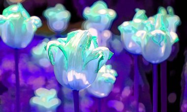 QUEBEC CITY QUEBEC CANADA 08: 23 2012: Quebec City, Kanada 'da Chateau Frontenac oteli renk lekeli pop-art arkaplan simgesi imzaladı