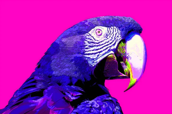 Scarlet Macaw Ara Macao Πινακίδα Εικονογράφηση Pop Art Φόντο Εικονίδιο — Φωτογραφία Αρχείου