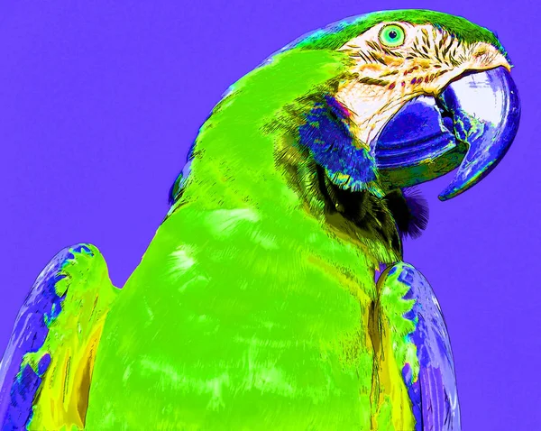 Kırmızı Macaw Ara Macao Renk Lekeli Pop Art Arkaplan Simgesi — Stok fotoğraf