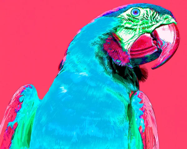 Scarlet Macaw Ara Macao Tecken Illustration Pop Art Bakgrund Ikon — Stockfoto