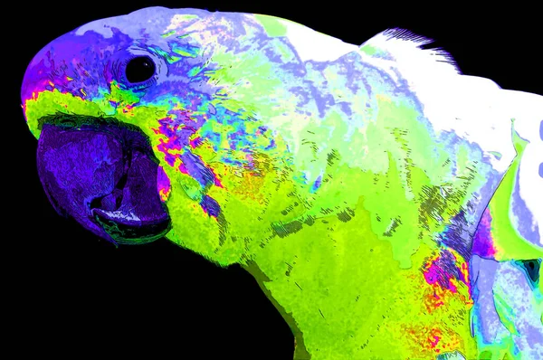 Parrot Illustration Pop Art Background Color Spots — стоковое фото