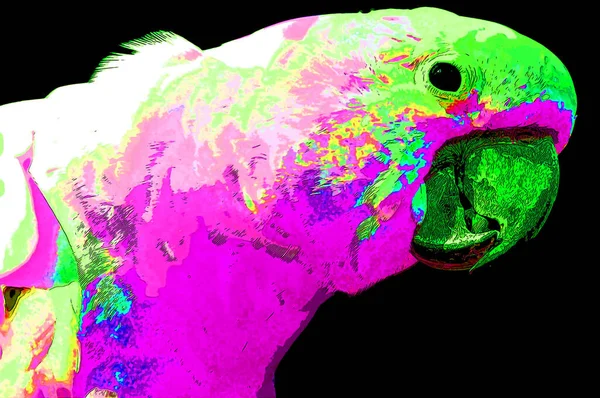 Parrot Illustration Pop Art Background Color Spots — 图库照片