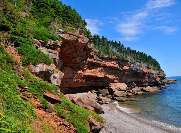 Beautiful Landscape Rocky Mountains Sea Forest — 스톡 사진