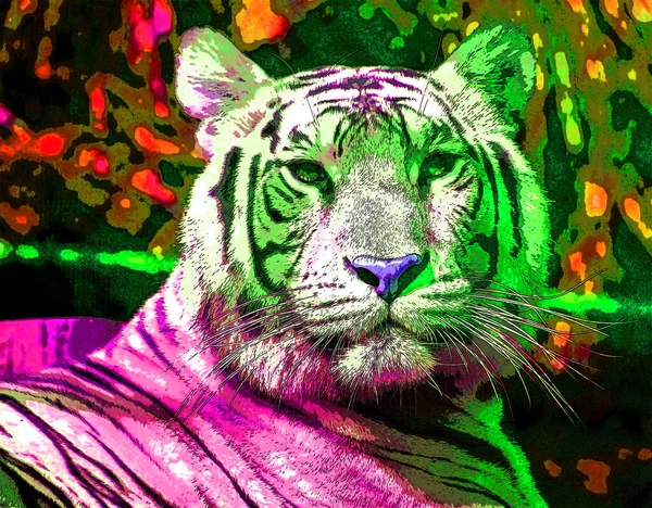 Tiger sign illustration pop-art background icon with color spots