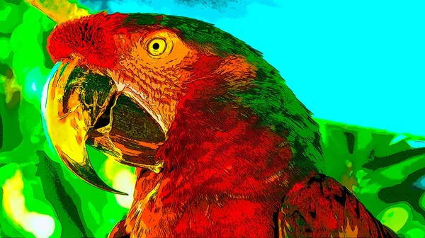 Parrot Illustration Pop Art Background Color Spots — Stock fotografie