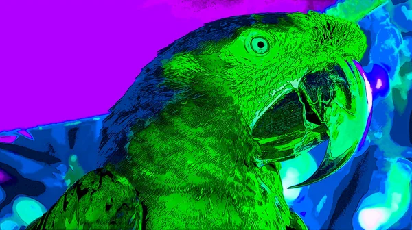 Parrot Illustration Pop Art Background Color Spots — Stock Photo, Image