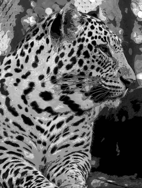 Pop Art Jaguar Icoon Met Kleurvlekken — Stockfoto