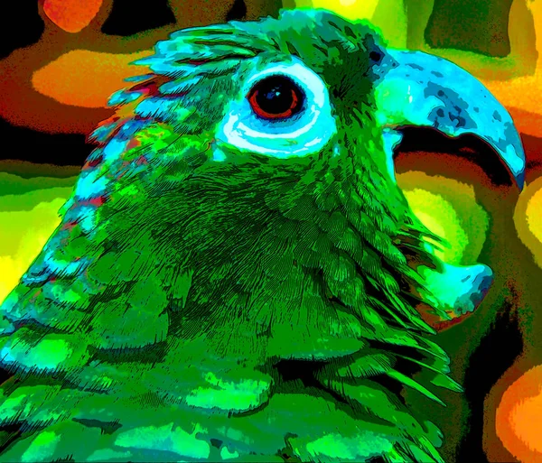 Parrot Illustration Pop Art Background Color Spots — Stok fotoğraf