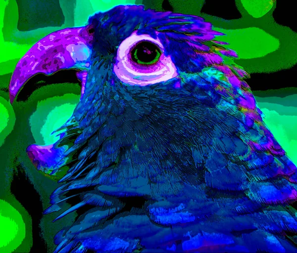 Parrot Illustration Pop Art Background Color Spots — Stok fotoğraf