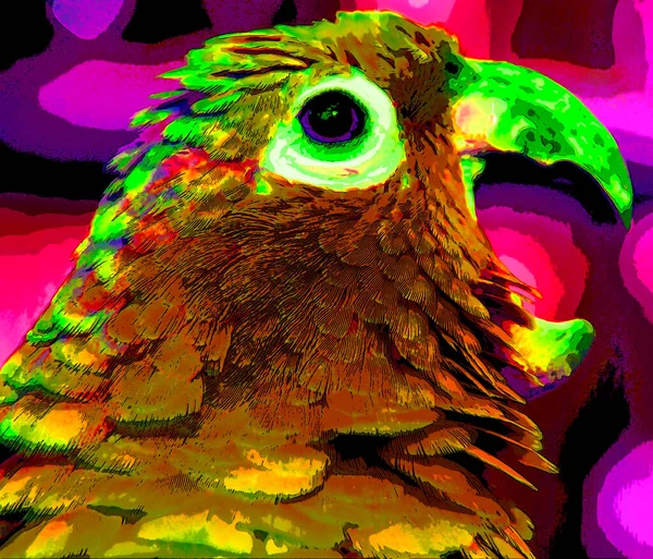 Parrot Illustration Pop Art Background Color Spots — Stockfoto