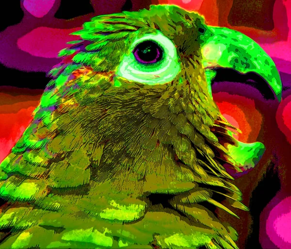 Parrot Illustration Pop Art Background Color Spots — Φωτογραφία Αρχείου