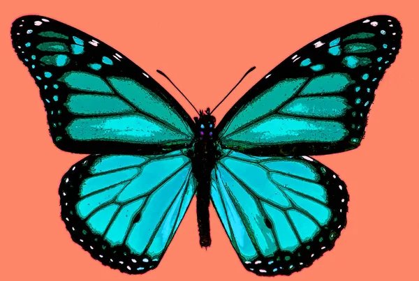 Cute Butterfly Color Background — Stockfoto