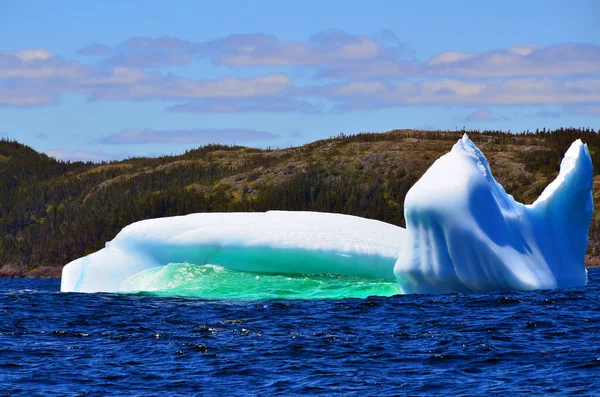 Iceberg Cape Bonavista Newfoundland Canadá —  Fotos de Stock