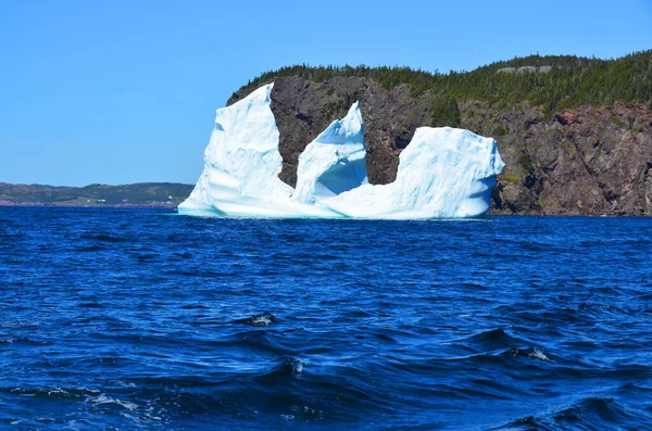 Iceberg Capo Bonavista Terranova Canada — Foto Stock