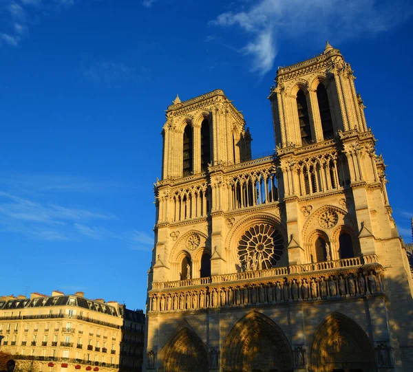 Paris France October Notre Dame Cathedral Paris France October 2014 — ストック写真