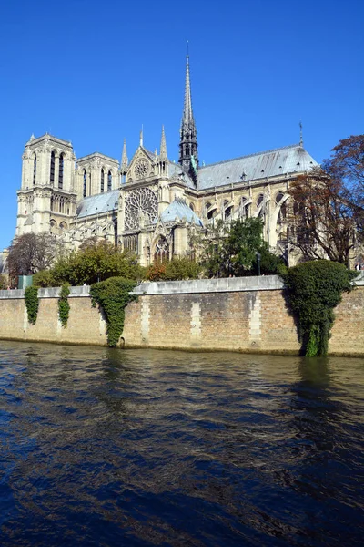 Párizs Franciaország Október Notre Dame Katedrális Párizs Franciaország Október 2014 — Stock Fotó