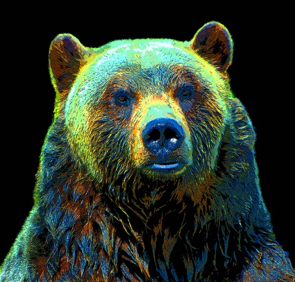 Grizzly Bear Sign Illustration Pop Art Background Icon Color Spots — 스톡 사진