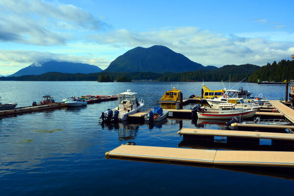 живописный вид на открытую сцену