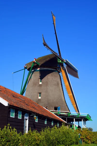 ZAANSE SCHANS NETHERLAND 10 01 2015: Zaanse Schans, Hollanda 'nın Zaanstad belediyesinde yer alan bir mahalle. İyi korunmuş tarihi yel değirmenleri koleksiyonu var.