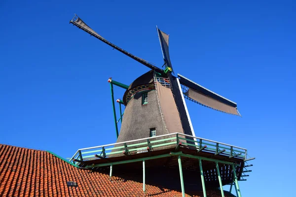 ZAANSE SCHANS NETHERLAND 10 01 2015: Zaanse Schans, Hollanda 'nın Zaanstad belediyesinde yer alan bir mahalle. İyi korunmuş tarihi yel değirmenleri koleksiyonu var.