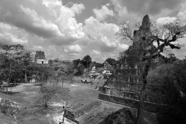 Tikal Guatemala 2016 Archaeological Site Pre Columbian Maya Civilization Tikal — 图库照片