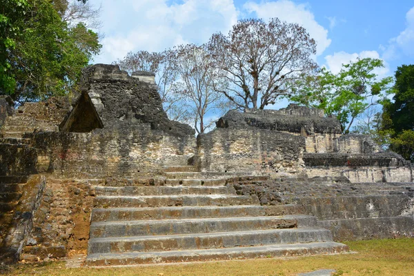 Tikal Guatemala 2016 Archaeological Site Pre Columbian Maya Civilization Tikal — стокове фото