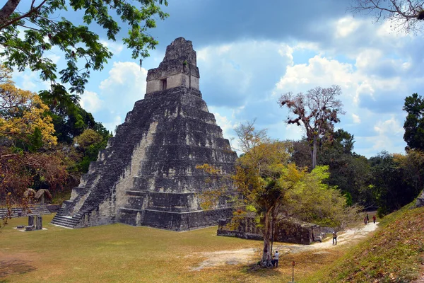 Tikal Guatemala 2016 Archaeological Site Pre Columbian Maya Civilization Tikal — ストック写真