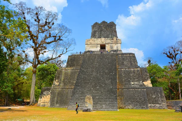 TIKAl GUATEMALA 05 03 2016 : The archaeological site of the pre-Columbian Maya civilization in Tikal National Park , Guatemala The park is UNESCO World Heritage Site since 1979