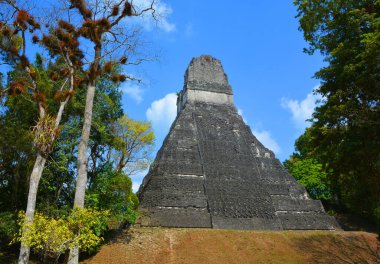 TIKAl GUATEMALA 05 03 2016 : The archaeological site of the pre-Columbian Maya civilization in Tikal National Park , Guatemala The park is UNESCO World Heritage Site since 1979