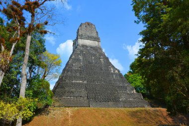 TIKAl GUATEMALA 05 03 2016 : The archaeological site of the pre-Columbian Maya civilization in Tikal National Park , Guatemala The park is UNESCO World Heritage Site since 1979