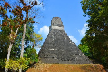 TIKAl GUATEMALA 05 03 2016 : The archaeological site of the pre-Columbian Maya civilization in Tikal National Park , Guatemala The park is UNESCO World Heritage Site since 1979