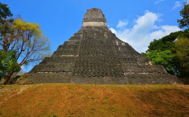 TIKAl GUATEMALA 05 03 2016 : The archaeological site of the pre-Columbian Maya civilization in Tikal National Park , Guatemala The park is UNESCO World Heritage Site since 1979