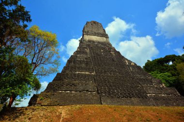 TIKAl GUATEMALA 05 03 2016 : The archaeological site of the pre-Columbian Maya civilization in Tikal National Park , Guatemala The park is UNESCO World Heritage Site since 1979