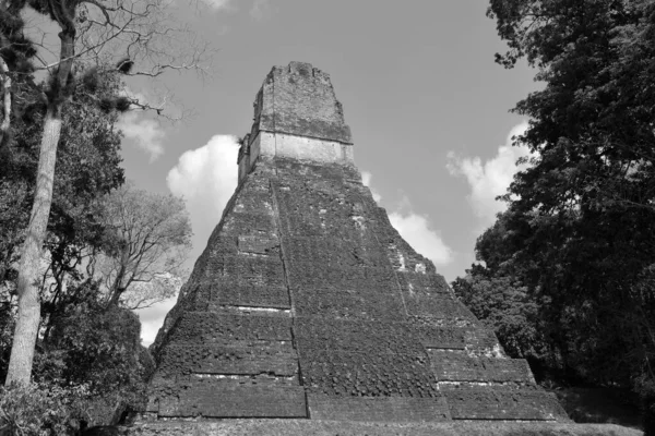 Tikal Guatemala 2016 Archaeological Site Pre Columbian Maya Civilization Tikal — ストック写真
