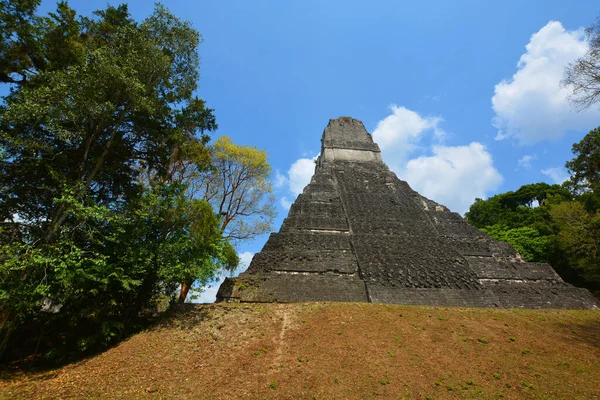 Tikal Guatemala 2016 Archaeological Site Pre Columbian Maya Civilization Tikal —  Fotos de Stock