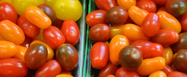 Mogna Tomater Marknaden — Stockfoto