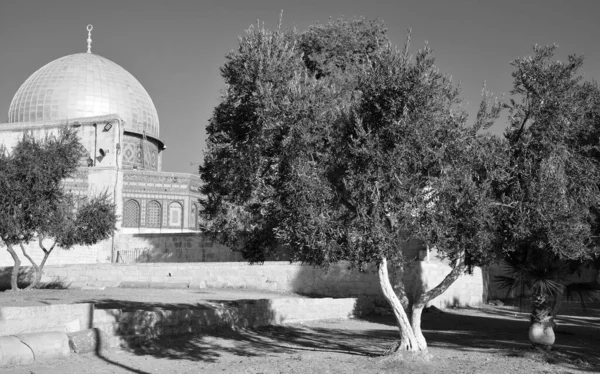 Jerusalem Israel Tempelberg Bekend Als Het Nobele Heiligdom Van Jeruzalem — Stockfoto