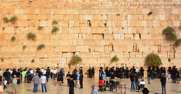 Jerusalem Israel Jewish Hasidic Men Pray Western Wall Wailing Wall — Fotografia de Stock