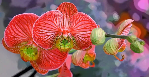 Branch Red Orchids Floral Botanical Flowers Sign Illustration Pop Art — Zdjęcie stockowe