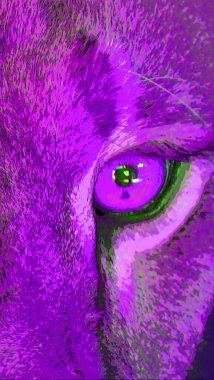 Lion eye sign illustration pop-art background icon with color spots