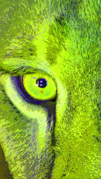 Lion Eye Sign Illustration Pop Art Background Icon Color Spots — kuvapankkivalokuva