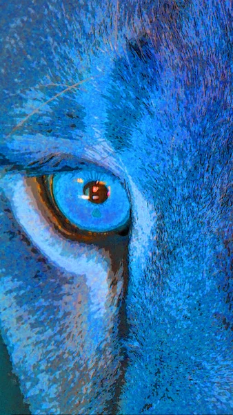 Lion Eye Sign Illustration Pop Art Background Icon Color Spots — Stockfoto
