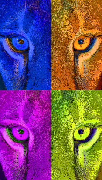 Lion Eye Sign Illustration Pop Art Background Icon Color Spots — Stockfoto