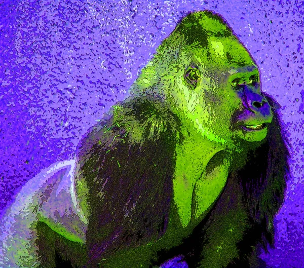 Pop Art Gorilla Ikone Mit Farbflecken — Stockfoto