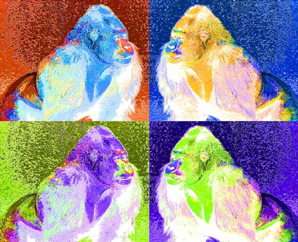 Pop Art Gorilla Icoon Met Kleurvlekken — Stockfoto