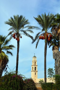 JAFFA ISRAEL NOV, 06 2016: Saint Peter Church is a Franciscan Church in Jaffa. The church was built in 1654 in dedication to Saint Peter was erected by Frederick I and restored by Louis IX of France