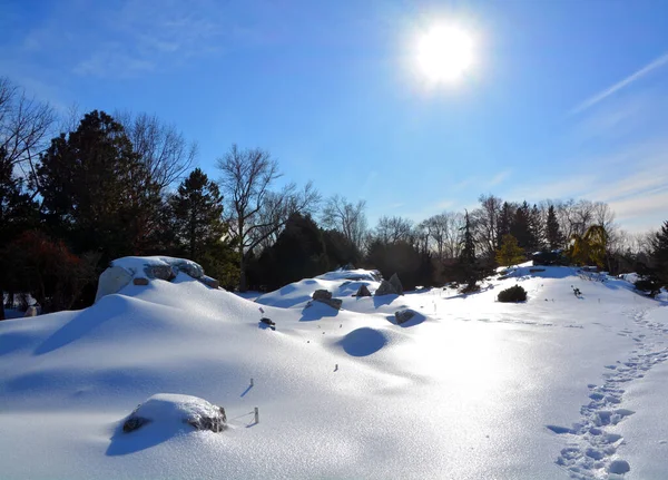 Winter Landscape Snow Trees — Fotografia de Stock